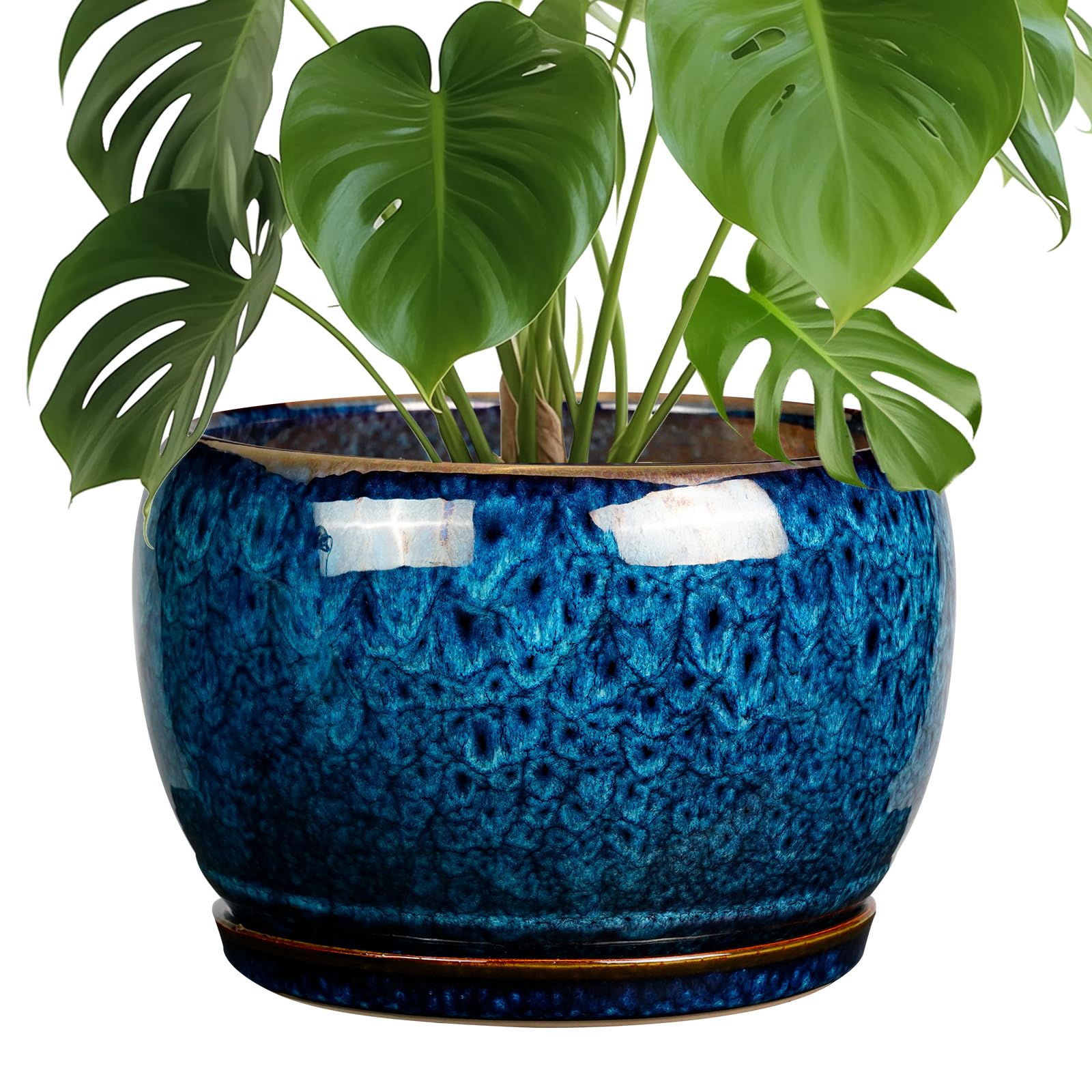 SQOWL Ceramic Planter 8 Inch - Pot for Indoor Outdoor Plants Round Ceramic Plant Pot with Drainage Hole and Saucer Modern Flower Pot Glazed Blue