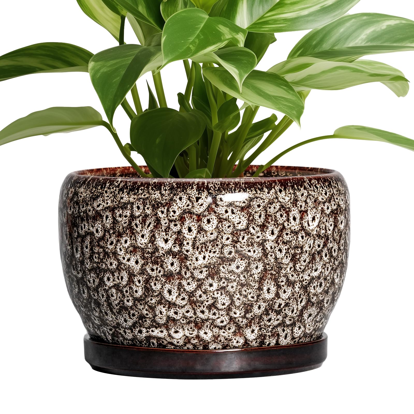 SQOWL Ceramic Planter 8 Inch - Pot for Indoor Outdoor Plants Round Ceramic Plant Pot with Drainage Hole and Saucer Modern Flower Pot Glazed Blue