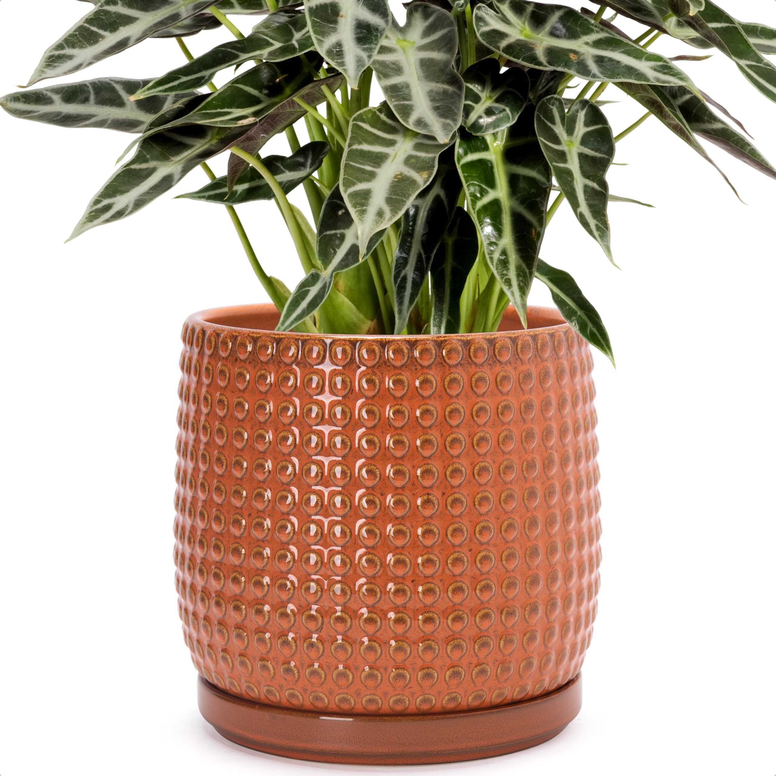 D'vine Dev 4 Inch Ceramic Beaded Stoneware Planter Pot - Flower Pot with Drainage Holes and Saucers for Indoor Succulent Plants or Flowers, Smoked White, 27-C-Z-1