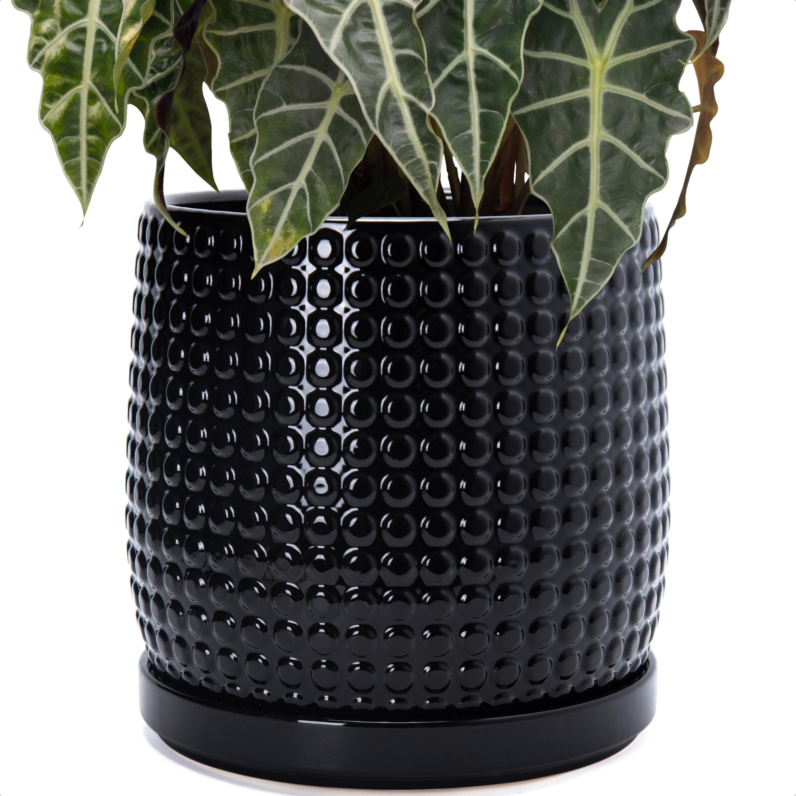 D'vine Dev 4 Inch Ceramic Beaded Stoneware Planter Pot - Flower Pot with Drainage Holes and Saucers for Indoor Succulent Plants or Flowers, Smoked White, 27-C-Z-1