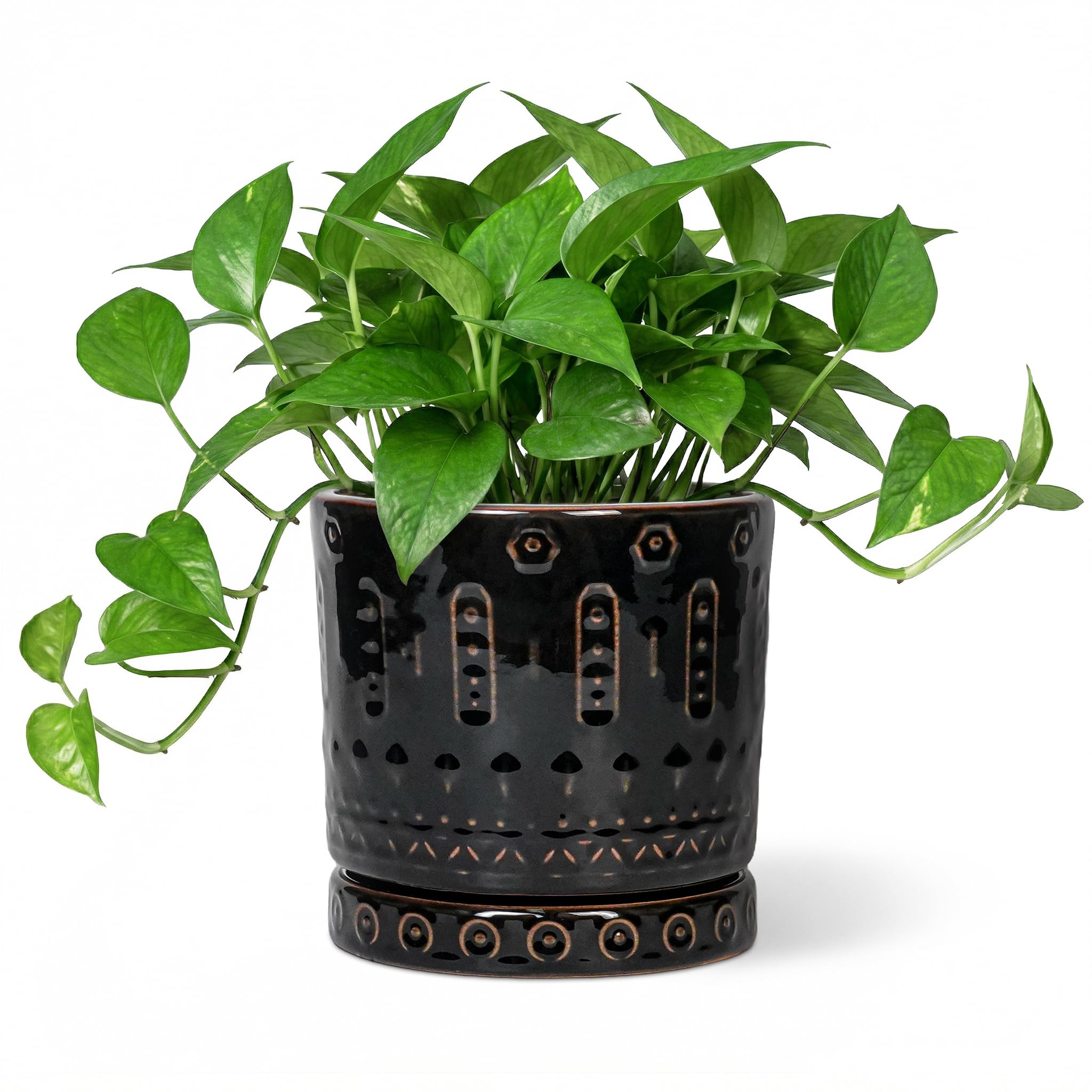 Eightpot 12 Inch Pot for Plants - Ceramic Planter for Indoor Plants Large Plant Pot with Drainage Holes and Saucer Outdoor Flower Pot Decorative Round Planter for Porch Office Decor Blue