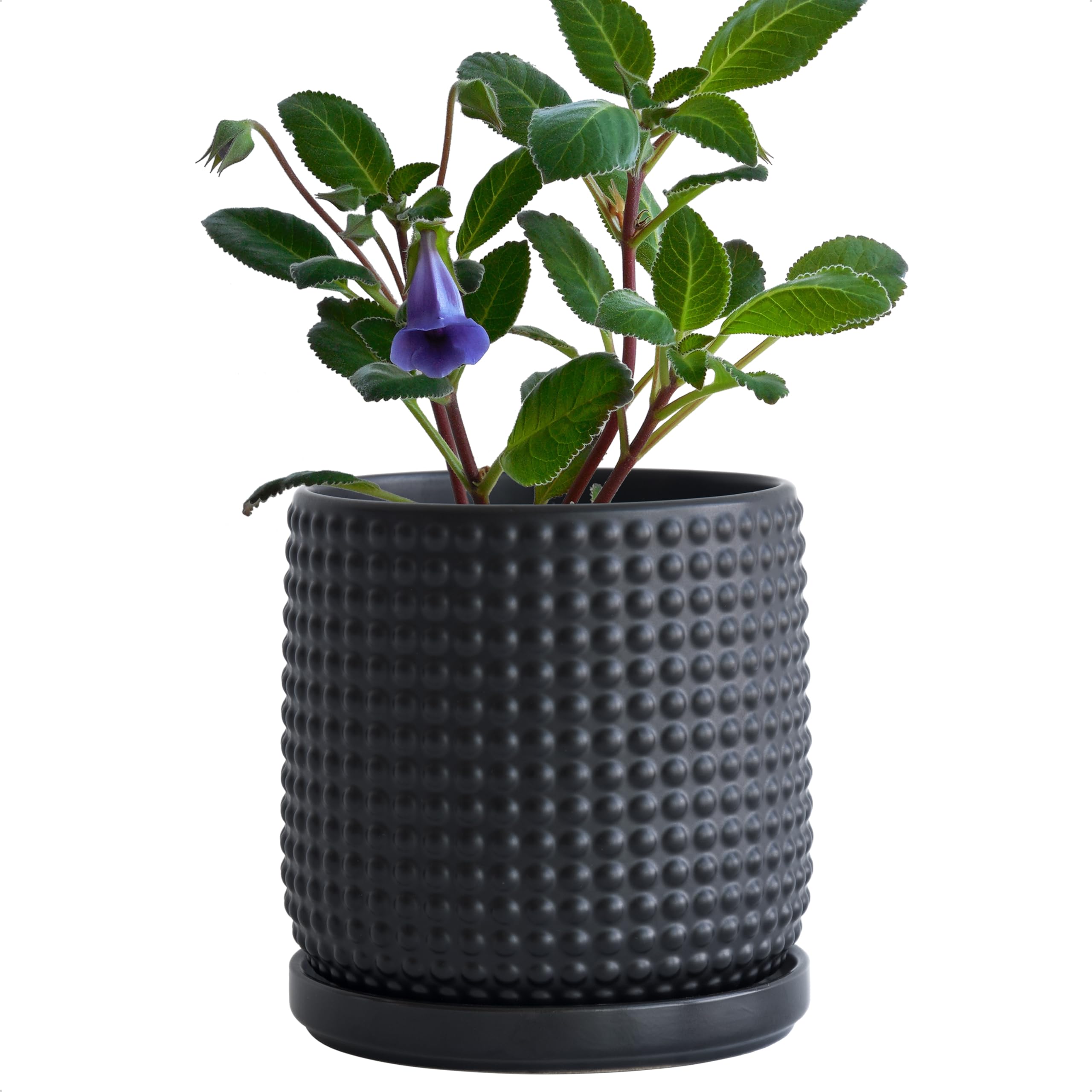 D'vine Dev 4 Inch Ceramic Beaded Stoneware Planter Pot - Flower Pot with Drainage Holes and Saucers for Indoor Succulent Plants or Flowers, Smoked White, 27-C-Z-1