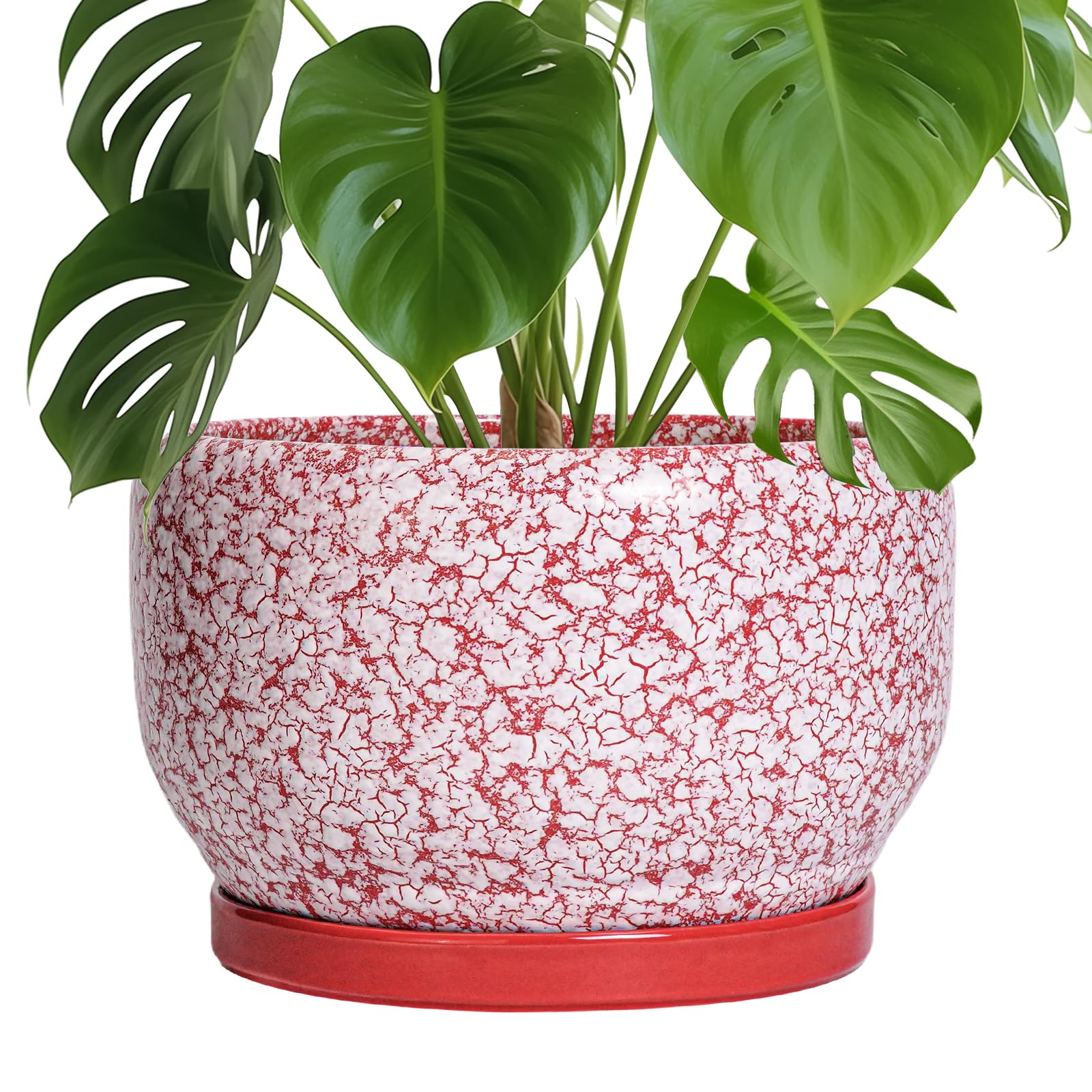 SQOWL Ceramic Planter 8 Inch - Pot for Indoor Outdoor Plants Round Ceramic Plant Pot with Drainage Hole and Saucer Modern Flower Pot Glazed Blue