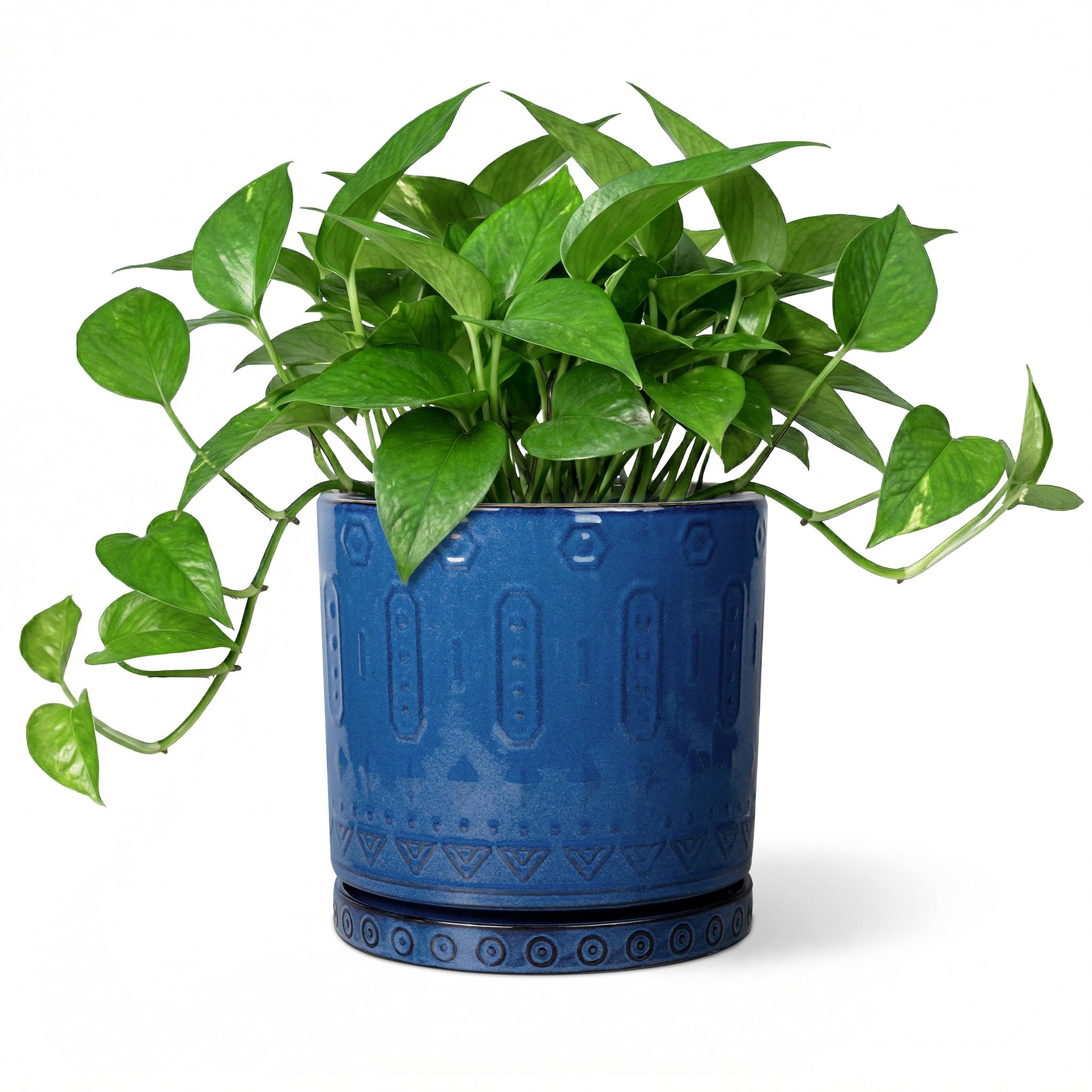 Eightpot 12 Inch Pot for Plants - Ceramic Planter for Indoor Plants Large Plant Pot with Drainage Holes and Saucer Outdoor Flower Pot Decorative Round Planter for Porch Office Decor Blue