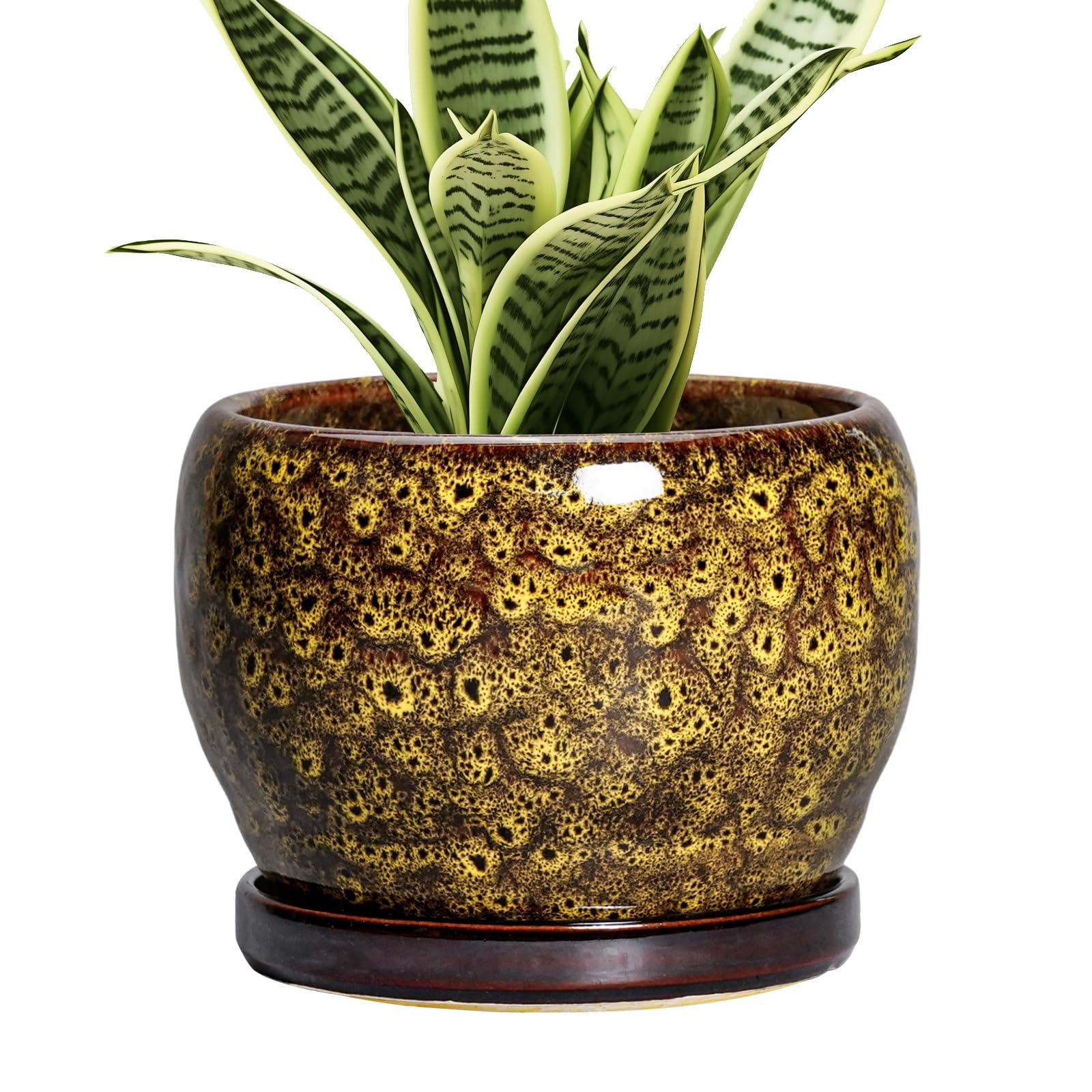 SQOWL Ceramic Planter 8 Inch - Pot for Indoor Outdoor Plants Round Ceramic Plant Pot with Drainage Hole and Saucer Modern Flower Pot Glazed Blue