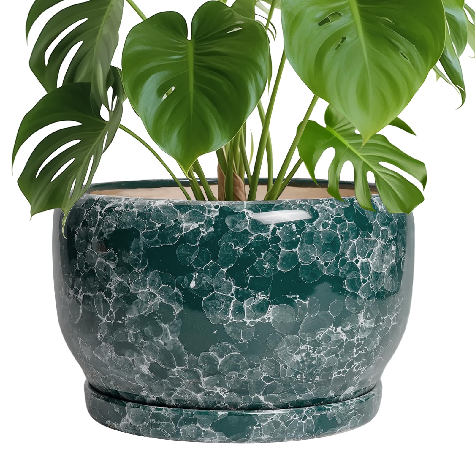 SQOWL Ceramic Planter 8 Inch - Pot for Indoor Outdoor Plants Round Ceramic Plant Pot with Drainage Hole and Saucer Modern Flower Pot Glazed Blue